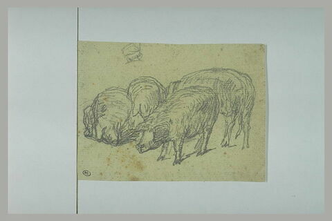 Etude d'un groupe de porcs, image 1/1