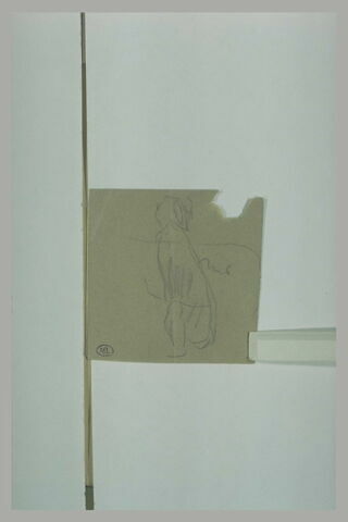 Chien assis, vu de derrière, image 1/1