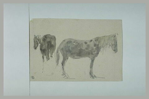 Deux chevaux, l'un vu de dos, l'autre tourné à droite, image 1/1