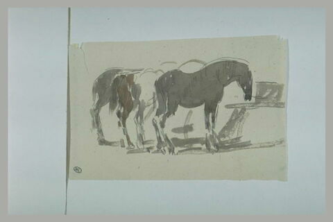 Quatre chevaux alignés, tournés vers la droite, image 1/1
