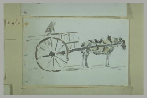 Cheval attelé à une charrette, image 1/1