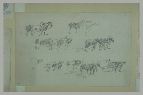 Etudes de chevaux tirant une charrue, image 1/1