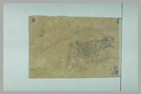 Vache maigre, tournée à droite, image 1/1