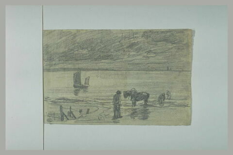 Hommes et cheval dans l'eau au bord d'une plage, image 1/1