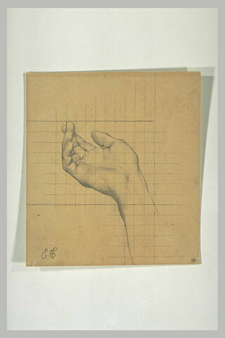 Etude de main droite présentant la paume, image 2/2