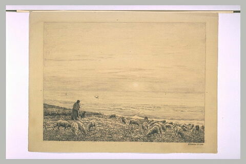 Troupeau de moutons et son berger, sur une colline dominant une plaine, image 1/1