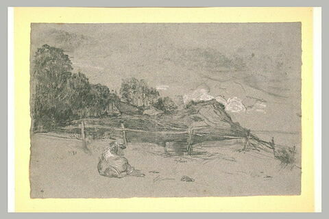 Boeuf couché dans un pâturage, sur la côte, image 1/1