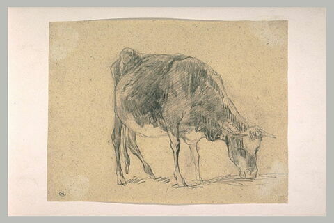 Vache tournée vers la droite, le museau au sol, image 1/1