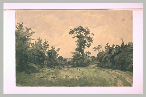 Prairie entourée d'arbres et longée par un chemin, image 1/1