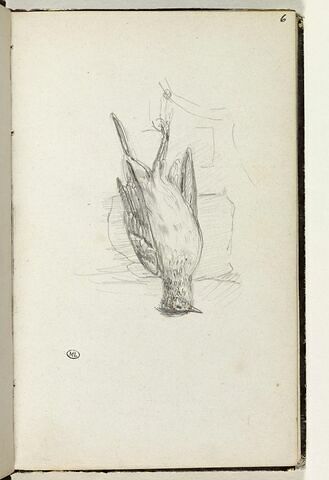 Oiseau mort pendu par une patte, image 1/1