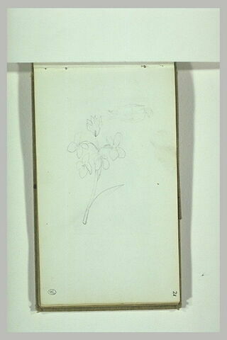 Croquis d'une branche fleurie ; esquisse d'une petite figure, image 2/2