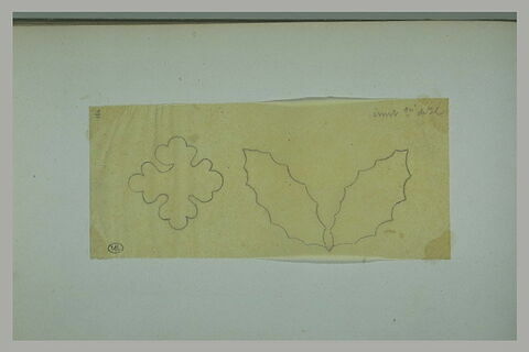 Etude d'un motif quadrilobé et d'un motif de feuilles dentelées, image 2/2