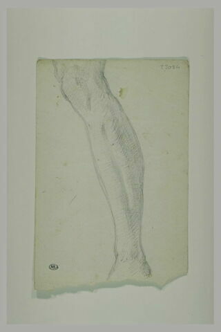 Jambe, image 1/1