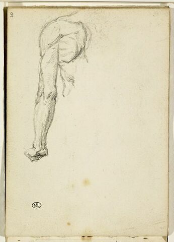 Anatomie d'un bras gauche, image 1/1