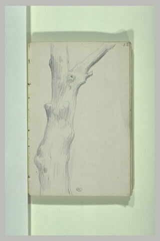 Un tronc d'arbre, image 2/2