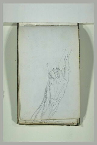Etude myologique d'une main posée, tenant le manche d'un objet, image 1/1