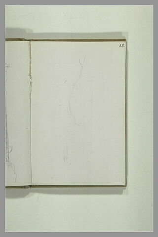 Arbre, image 1/1