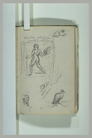 Prométhée portant du feu ; canards et oiseau, image 1/1