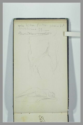 Torse et bassin d'un homme nu ; figure allongée ; note manuscrite, image 1/1