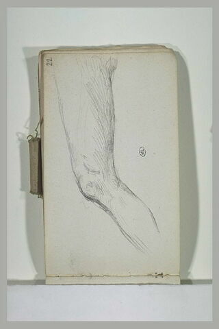 Etude de jambe gauche d'un homme nu
