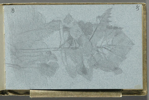 Arbres, image 1/2