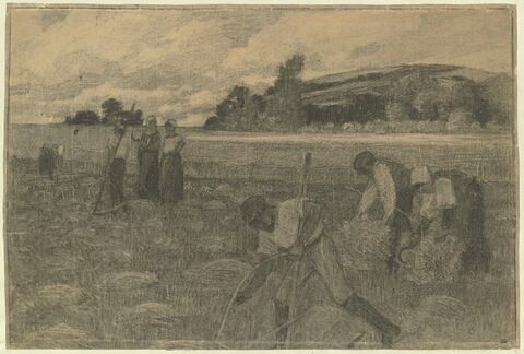 Moissonneurs dans un champ de blé