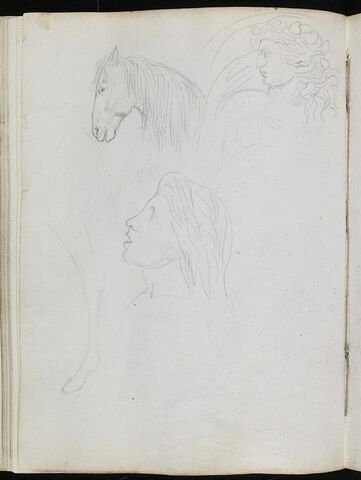 Tête et jambe de cheval ; deux études de têtes, de profil à gauche, image 1/1