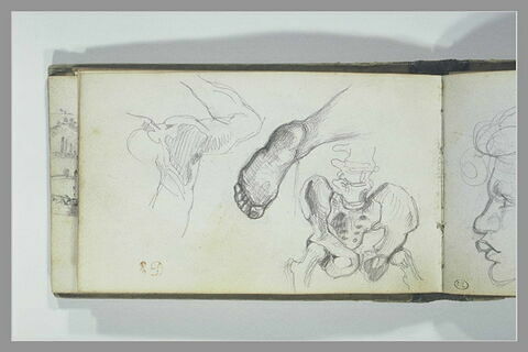 Epaule droite ; pied gauche ; os du sacrum, de la fosse iliaque, du coccyx, image 1/1