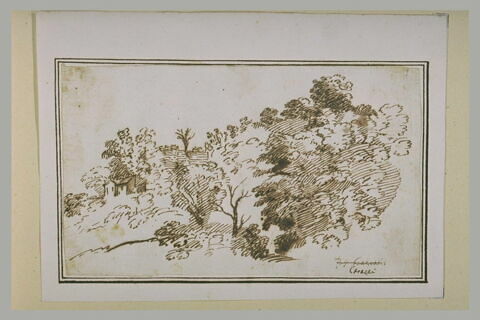 Paysage avec une maisons cachée parmi les arbres