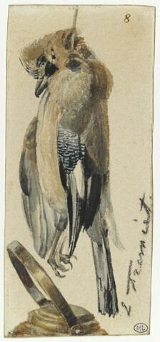 Oiseau mort suspendu par une ficelle au-dessus d'une bouilloire, image 1/2