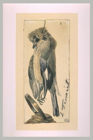 Oiseau mort suspendu par une ficelle au-dessus d'une bouilloire, image 2/2