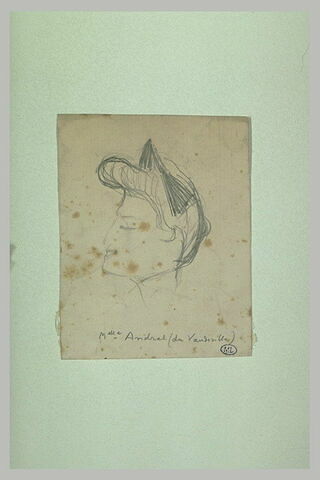 Tête de femme, de profil à gauche, cheveux ramenés en coque, image 1/1