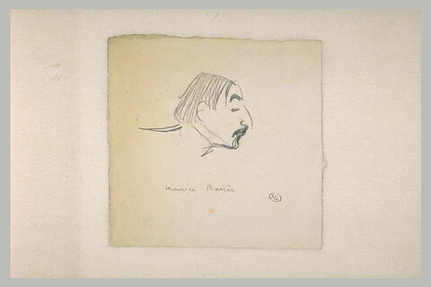 Croquis caricatural d'une tête d'homme, de profil à droite : Maurice Barrès, image 2/2
