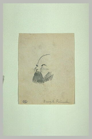 Croquis inachevé d'une tête d'homme de trois quarts à gauche:Joseph Reinach, image 1/1