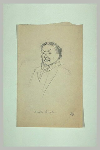 Femme vue en buste, de trois quarts à gauche:Louise Breslau