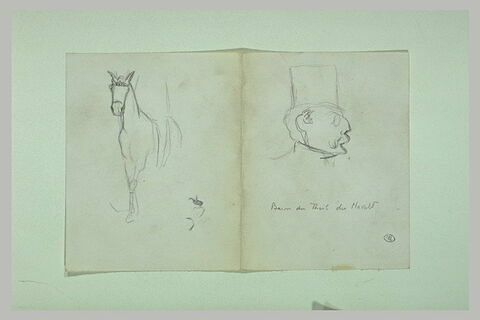 Baron du Theil du Havelt, de profil droit, coiffé d'un chapeau, et cheval, image 1/1