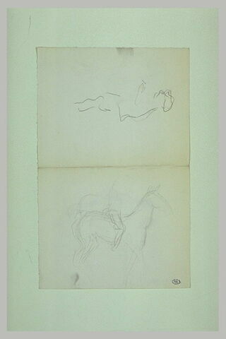 Silhouette ; cheval et jambes de son cavalier, image 1/1