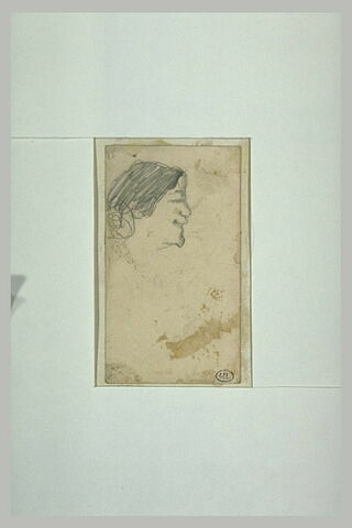Croquis d'une tête, de profil à droite, image 1/1