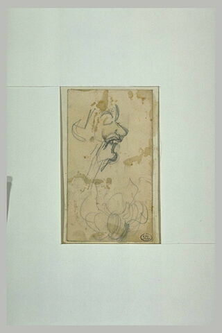 Croquis d'une tête, de profil à droite, et chevelure, image 1/1