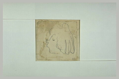 Croquis très caricatural d'une tête de femme, nez retroussé, de profil, image 1/1