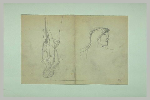Tête de femme aux cheveux longs, et silhouette de femme aux longs cheveux, image 1/1