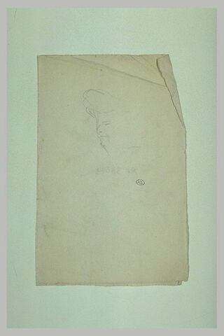 Tête de femme, de trois quarts à gauche, cheveux relevés, image 1/1