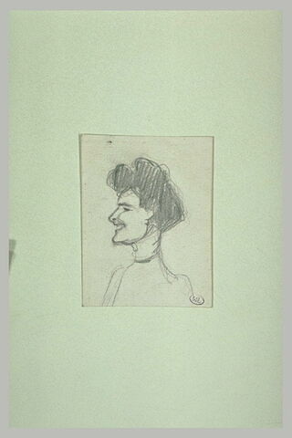 Femme vue en buste, de profil à gauche, cheveux relevés, image 1/1