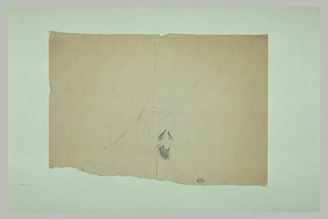 Croquis caricatural, inachevé, d'une tête d'homme, de trois quarts à droite, image 1/1