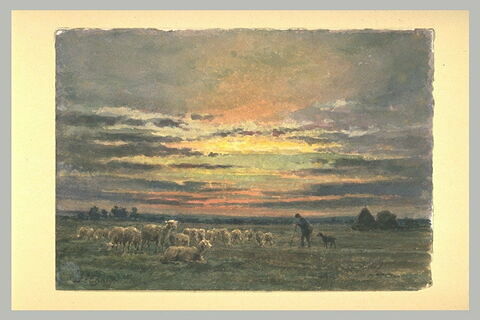 Paysan gardant un troupeau de moutons, au soleil couchant