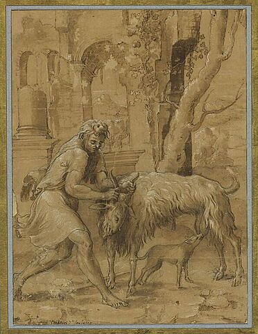Un homme tenant une chèvre par les cornes afin qu'un chien puisse la téter