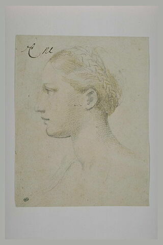Tête de femme vue de profil, tournée vers la gauche, image 2/2