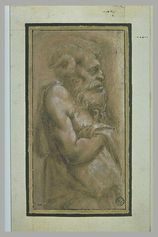 Demi-figure d'homme barbu, avec des cornes, de profil vers la droite, image 1/1