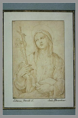 Une sainte tenant un livre et un crucifix : sainte Catherine de Sienne?