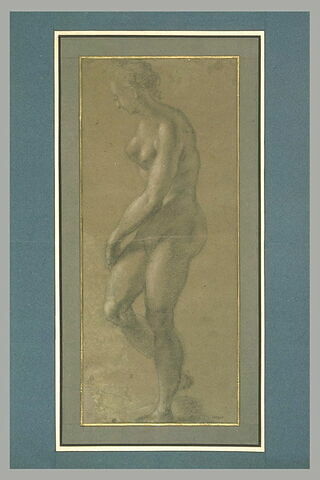 Femme nue, debout, de profil à gauche : Vénus ?